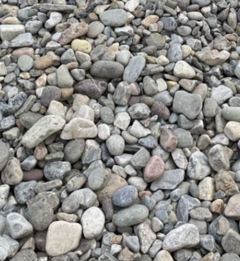 A pile of rocks with a small white object in the middle.