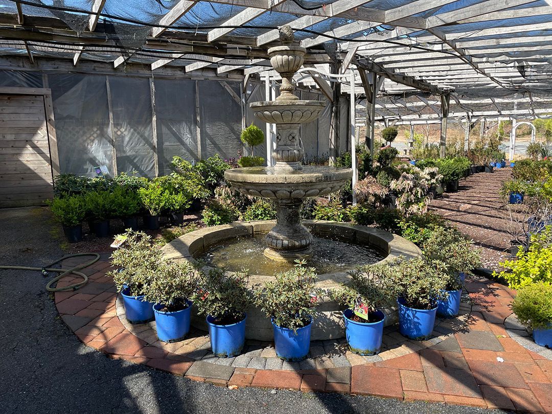 A fountain in a greenhouse surrounded by blue potted plants.