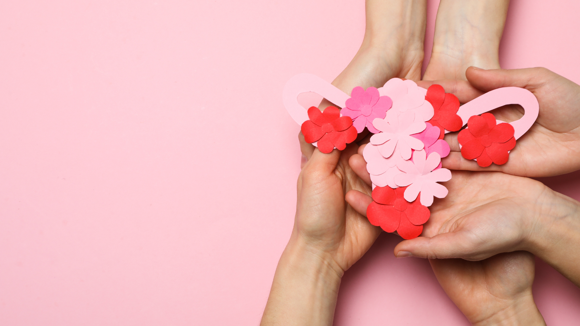 Hands holding pink and red paper hearts on a pink background