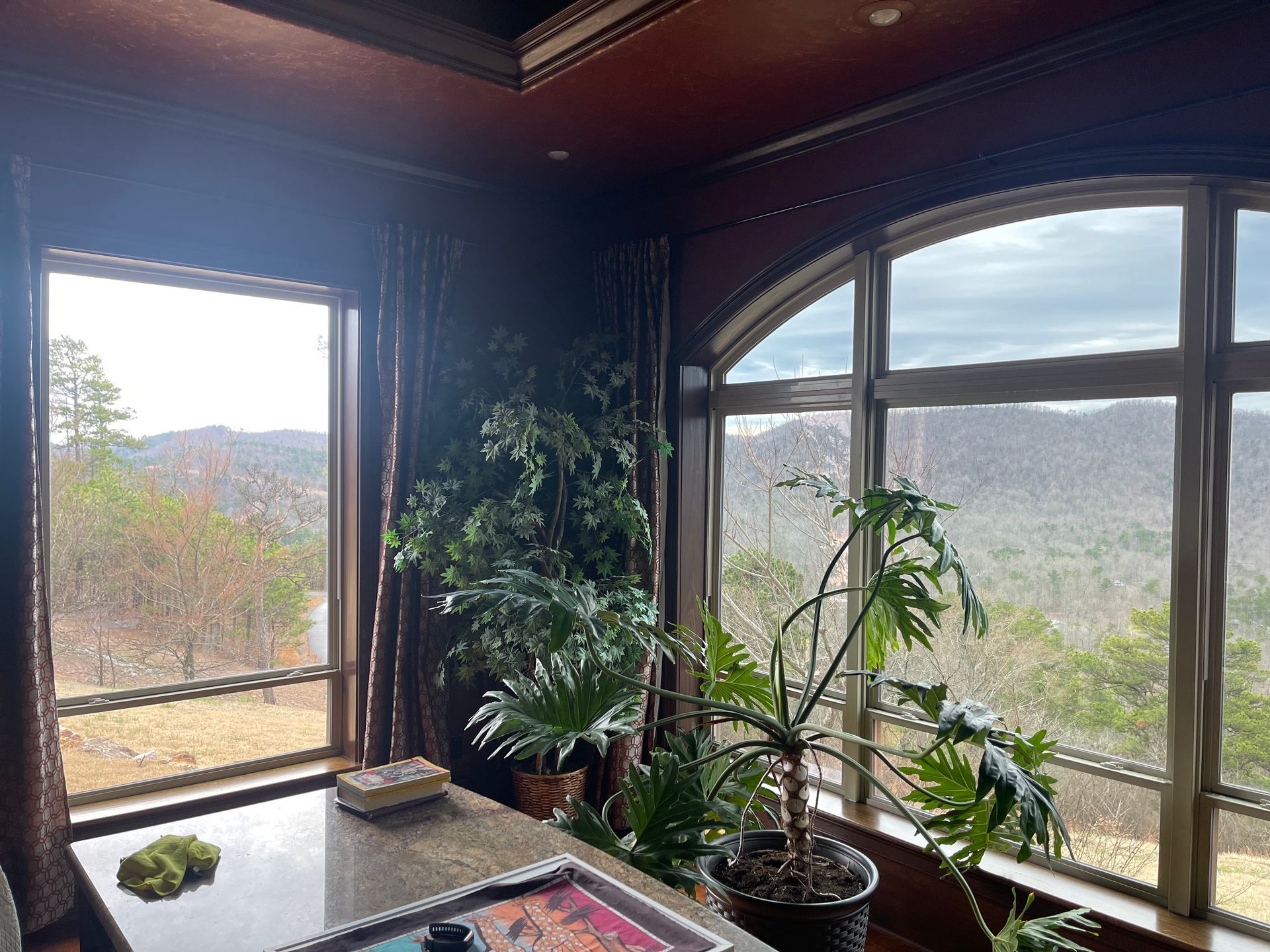 Room with large windows overlooking a scenic mountain view, with potted plants and a dark countertop.