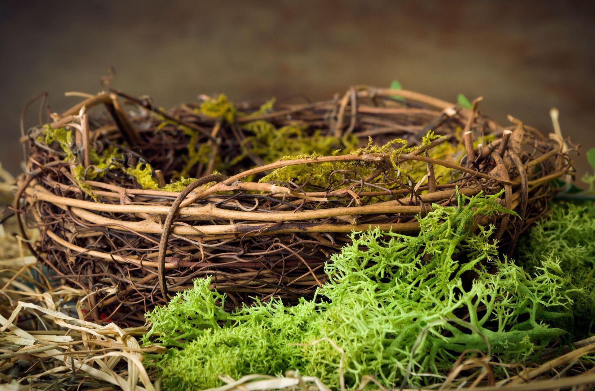 A bird nest filled with moss and branches on a wooden table.