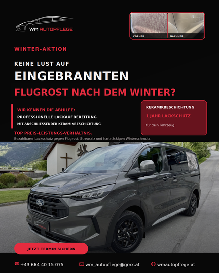 Flugrost entfernen
