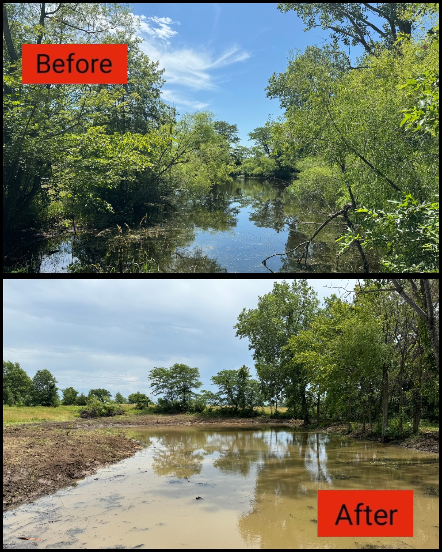 Before-and-after wetland scene: lush green pond before, muddy flooded clearing after.