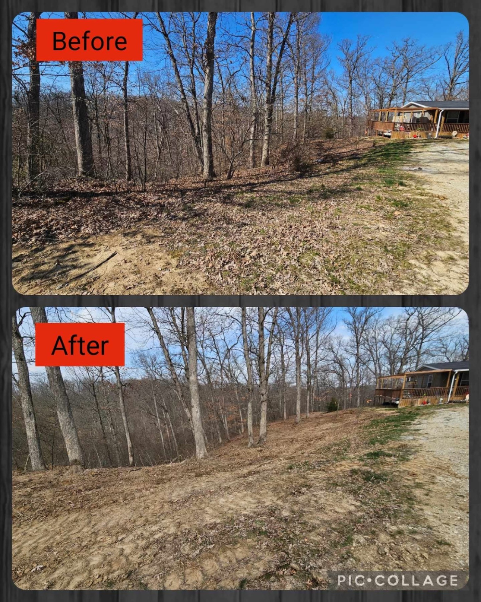 Before-and-after yard clearing: wooded lot and brush removed, leaving an open, dirt-covered slope.