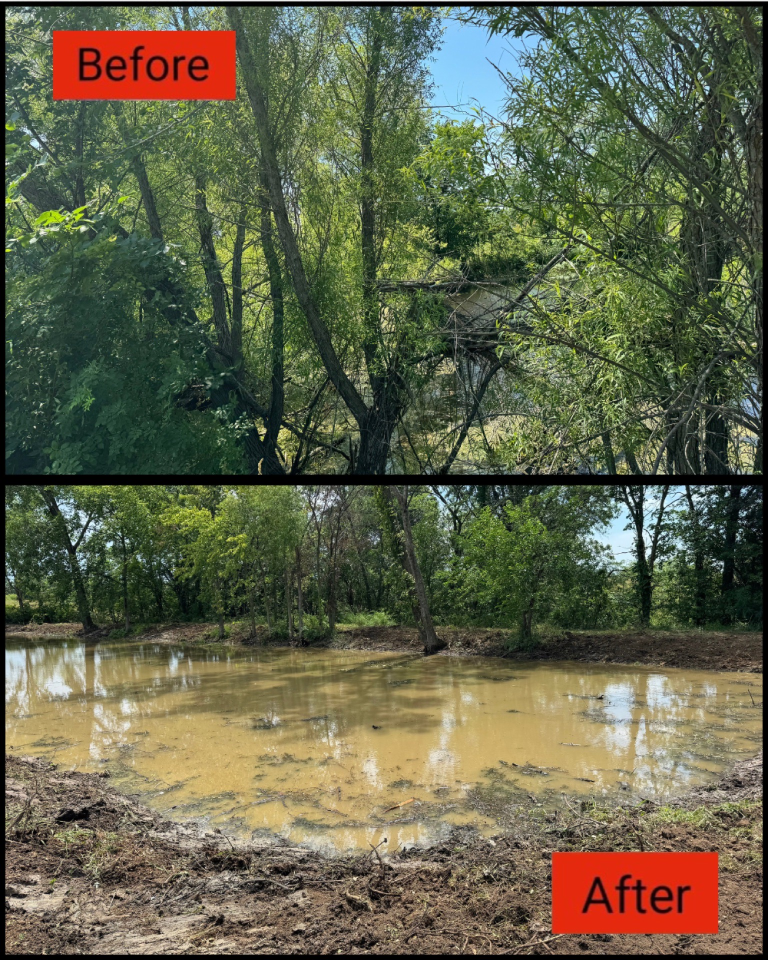 Before and after flood scene: muddy water fills a wooded area, with trees and ground visible above it in the top image.