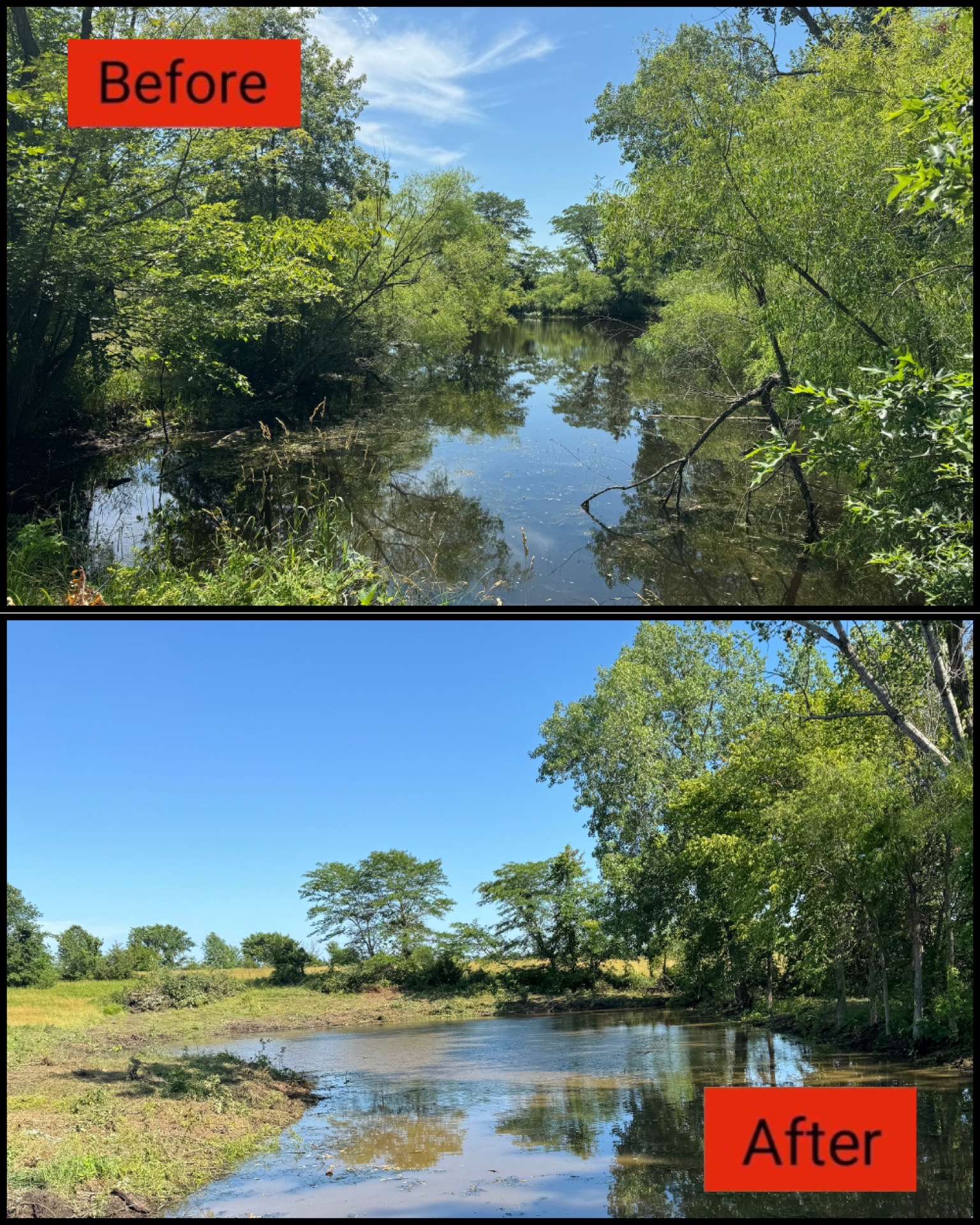 Before-and-after view of a sunny wetland with trees, water, and sky reflections, showing a wider clearing after.