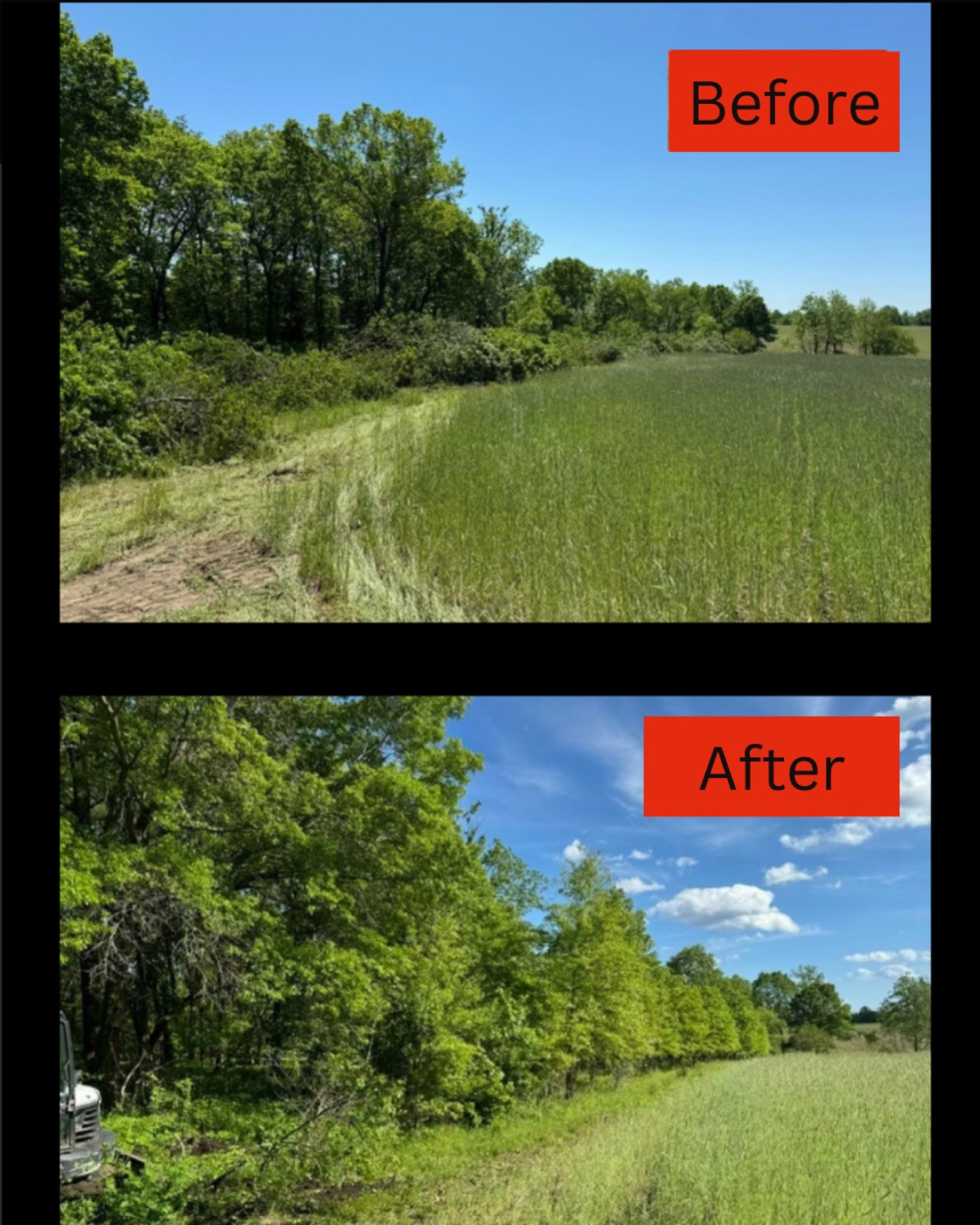 Before-and-after photos of a grassy field edge with trees and blue sky, showing denser greenery after trimming