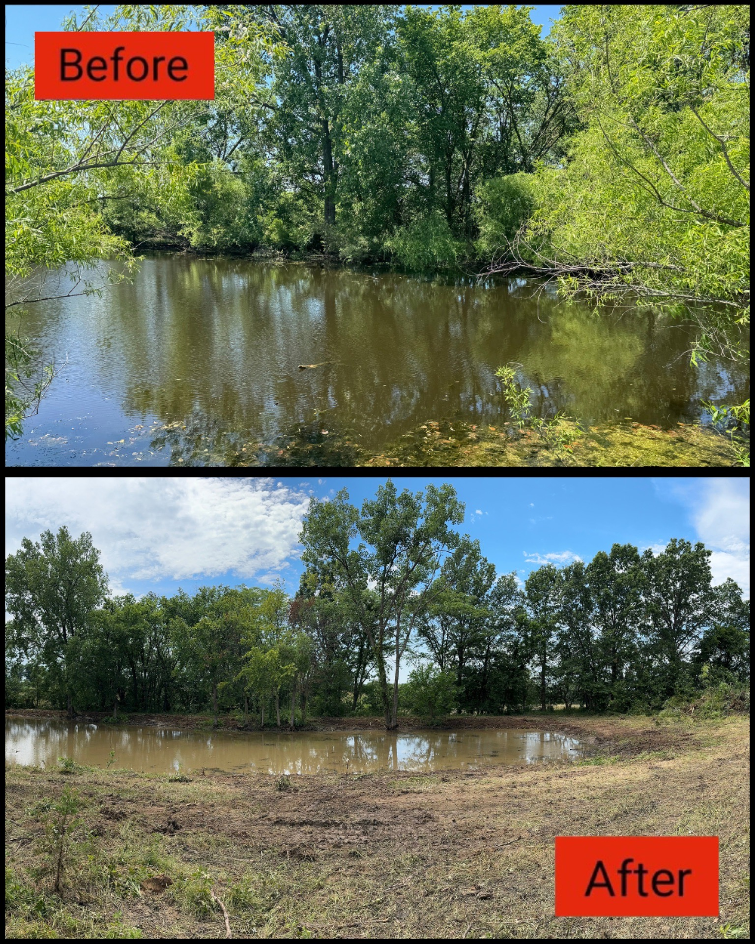 Before-and-after comparison of a flooded wooded pond, showing lower water and exposed muddy bank after.