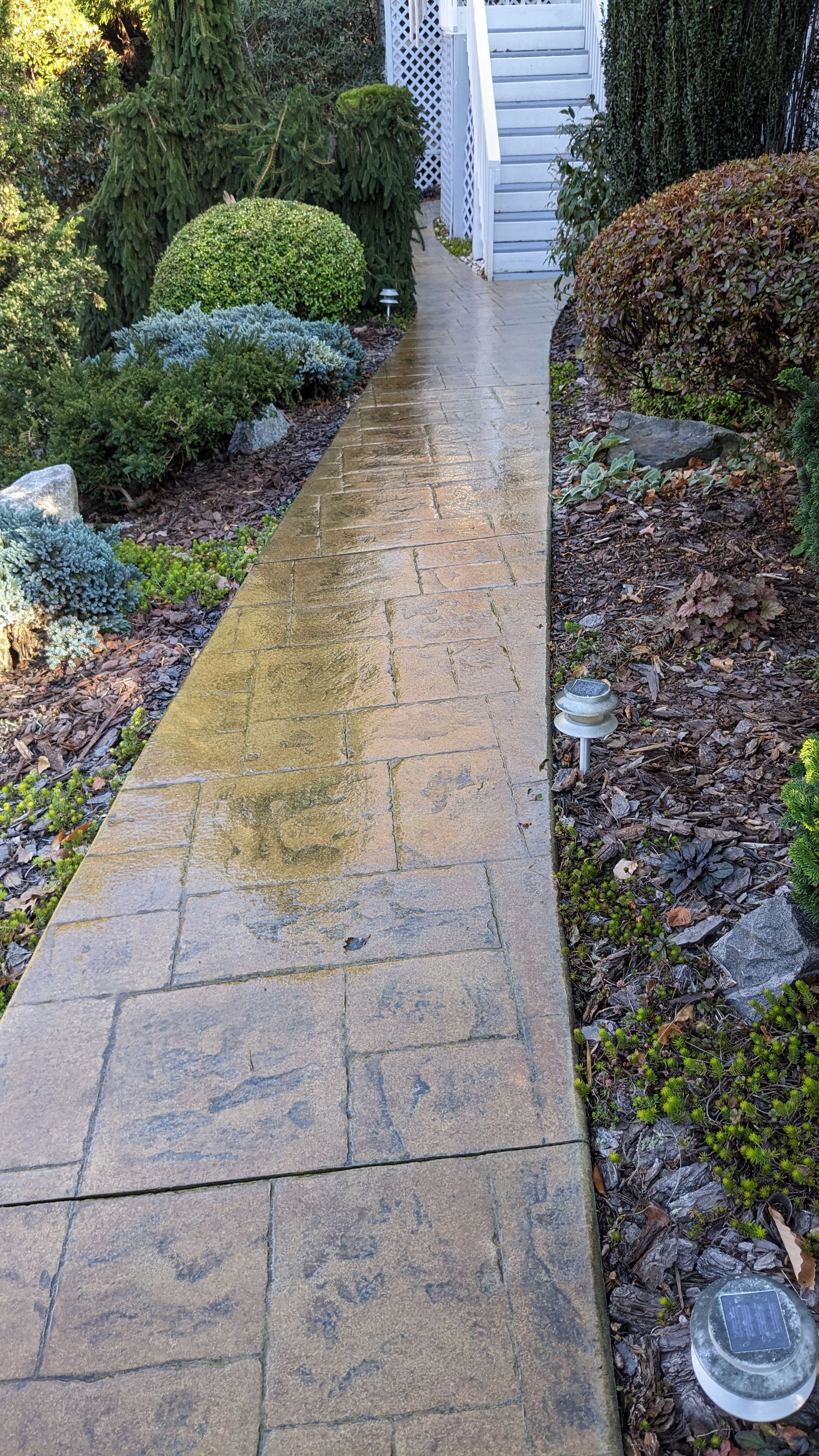 A walkway leading to a house with stairs in the background.