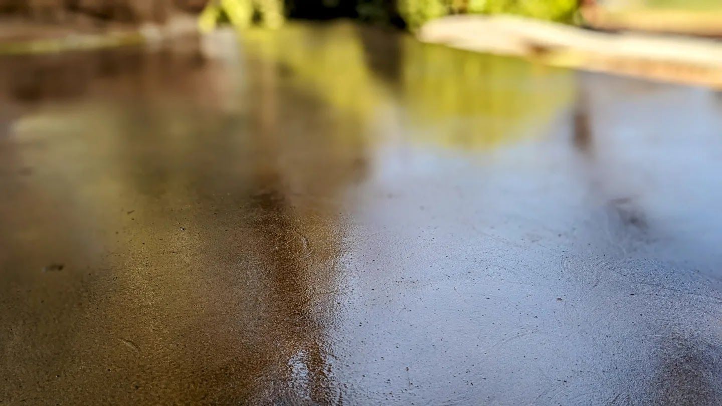 A close up of a wet asphalt road with trees in the background.