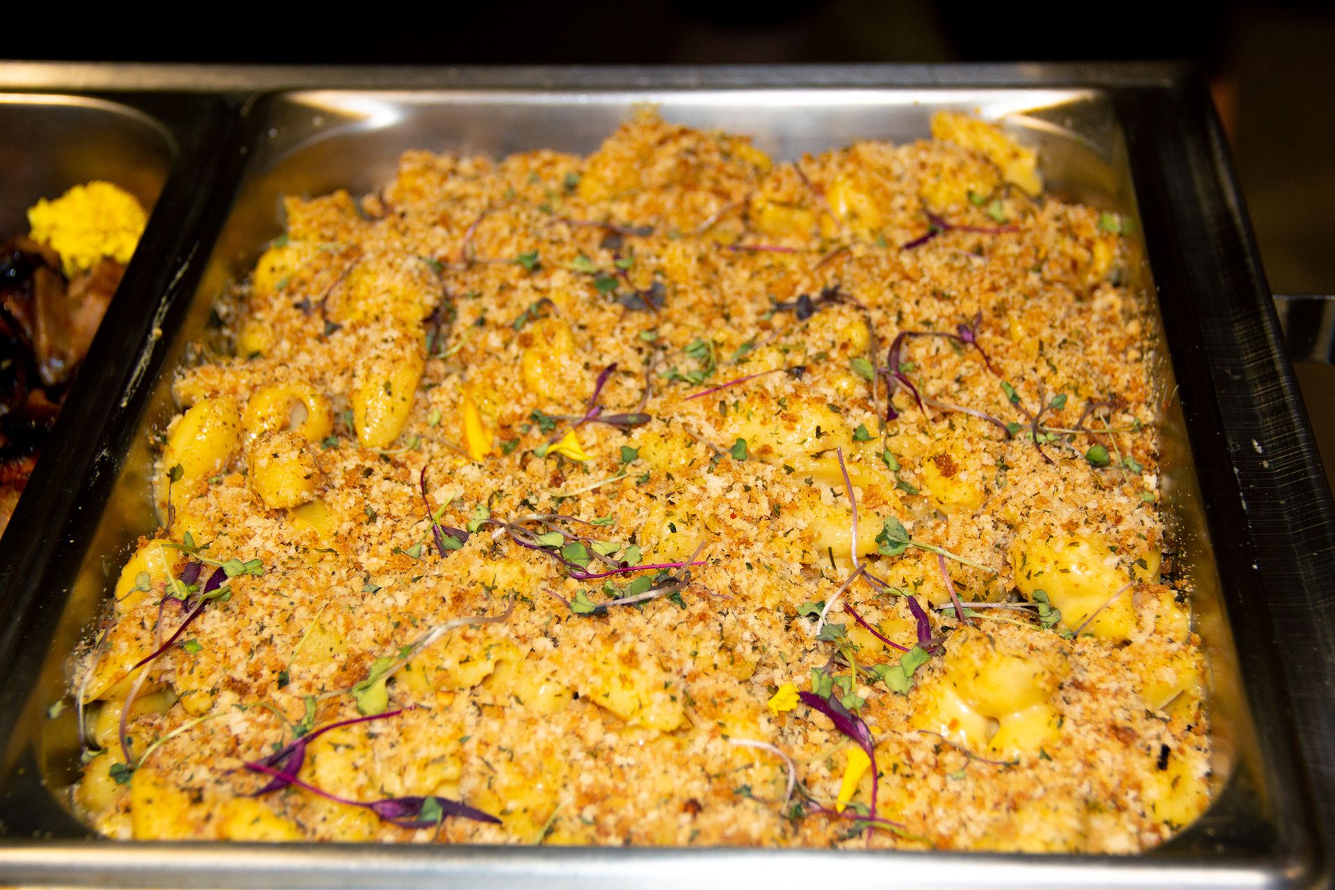 Events McKinney, TX The Range in McKinney