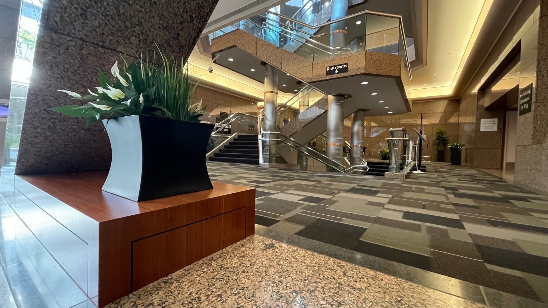 Modern hotel lobby with stairs, escalator, and a potted plant in the foreground