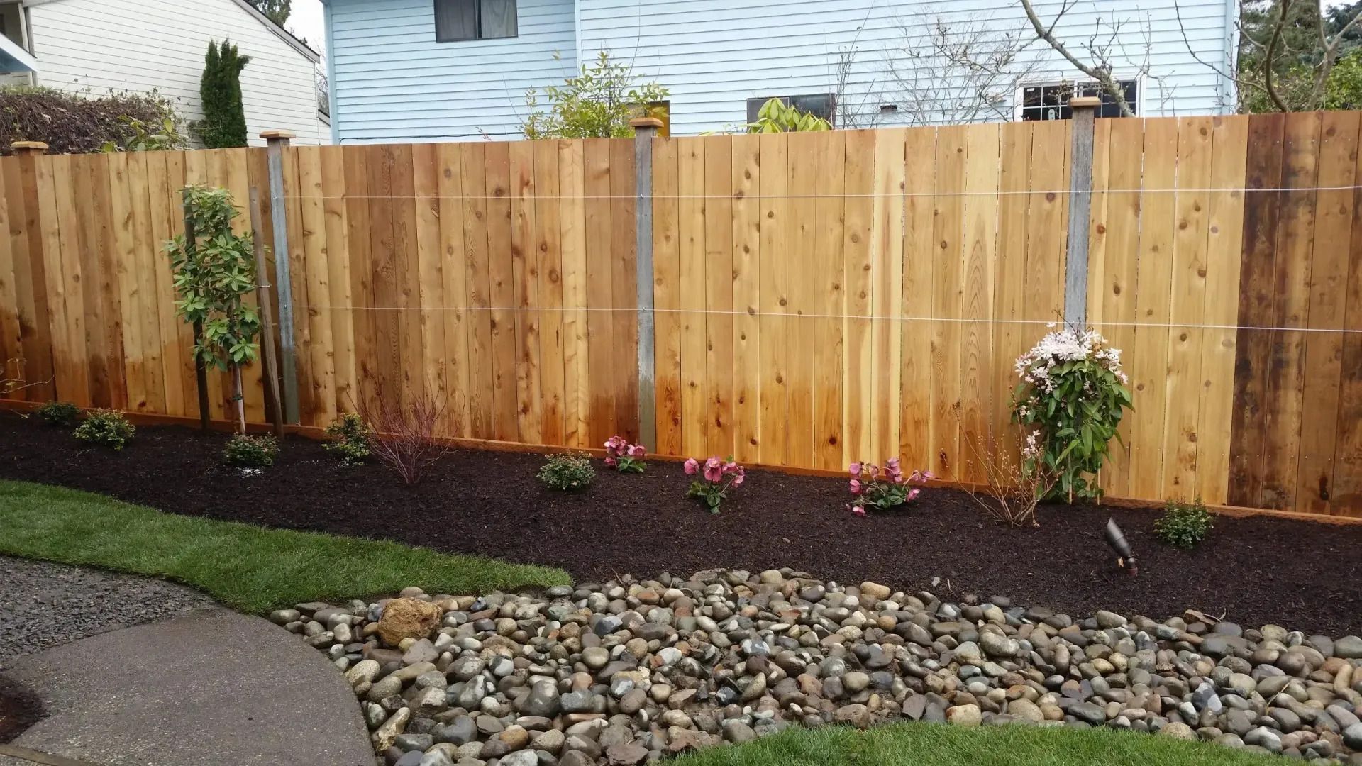 Wooden backyard fence with small shrubs and dark mulch beside a stone-edged garden bed.