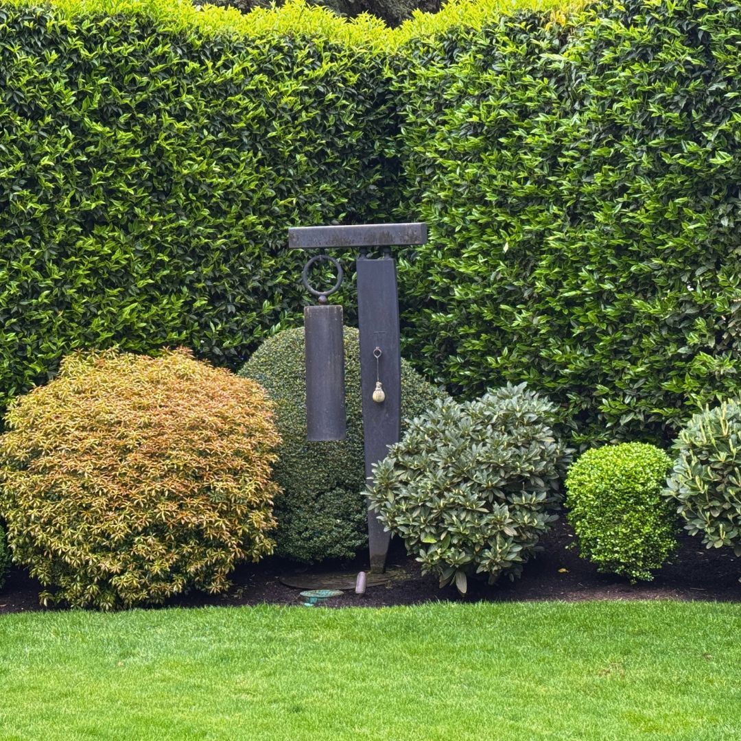 Lush green backyard lawn with red-leaf trees, shrubs, and a blue sky with clouds