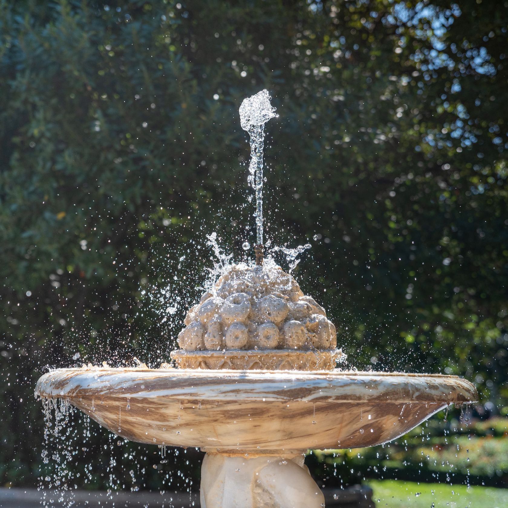 Stone fountain spraying water into sunlight in a garden with trees in the background