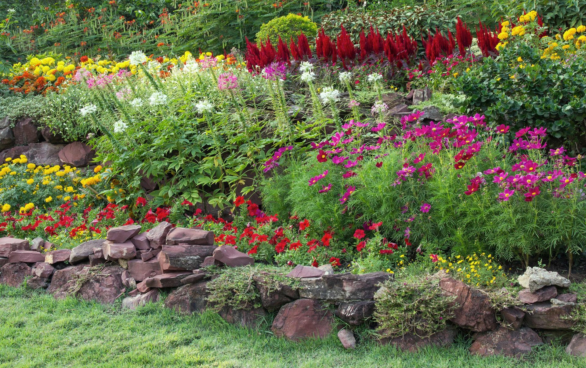 Colorful flower garden with blooming beds and a low stone border.