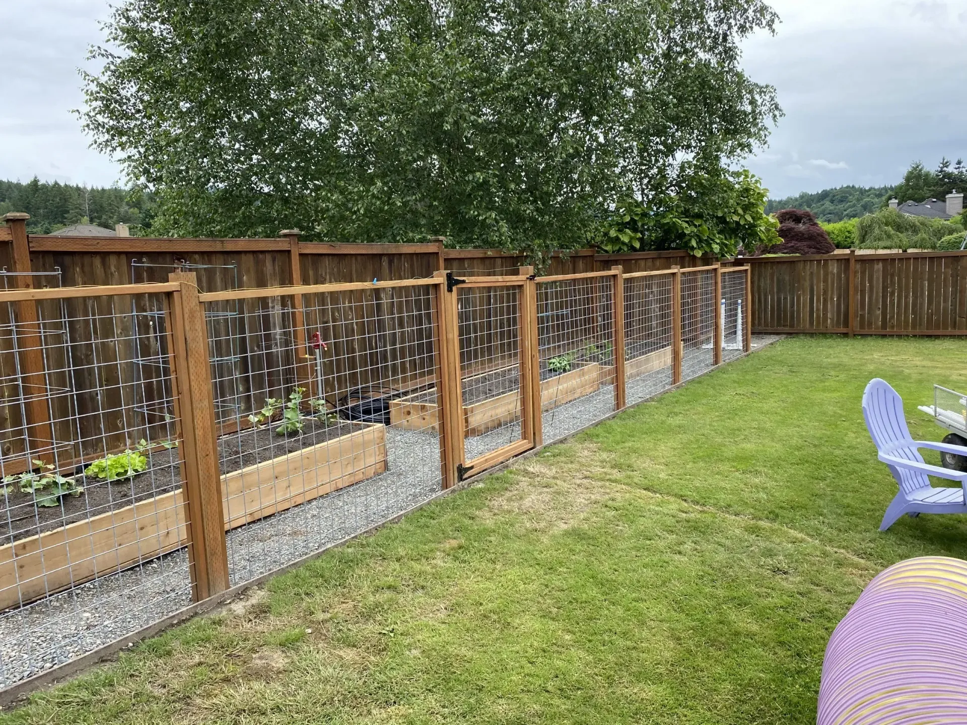 Backyard garden fence with gravel path, raised beds, and green lawn under a leafy tree