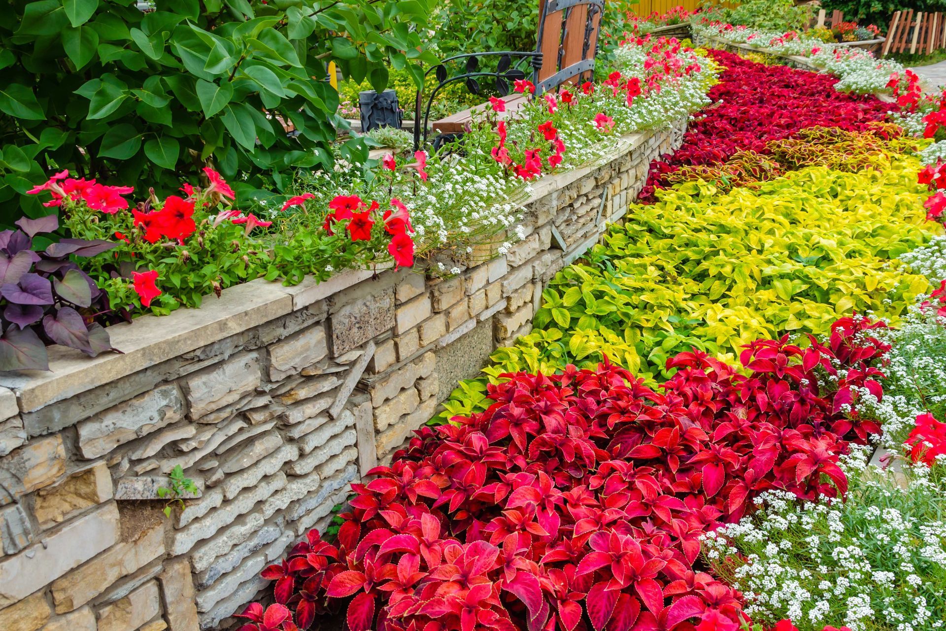 Curved stone flower bed with bright red, yellow, and white blossoms along a garden path