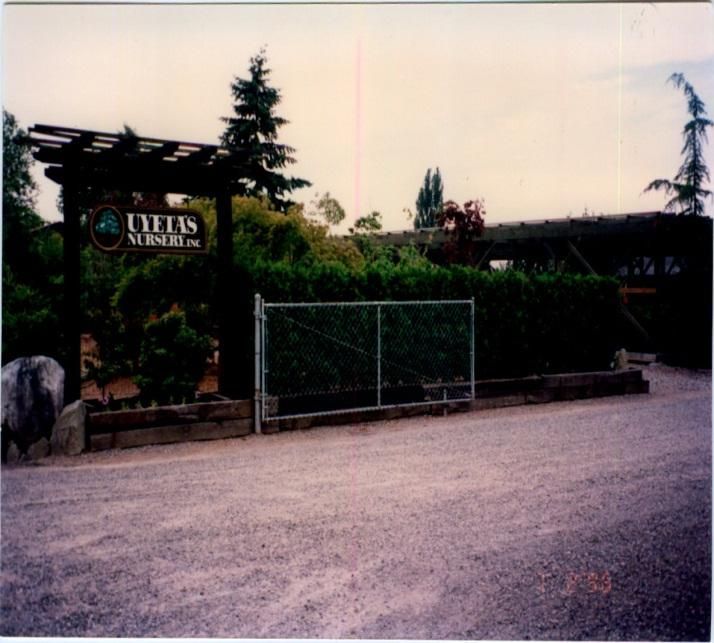 Entrance to a vineyard with sign, hedge-lined driveway, and metal gate under tall trees.