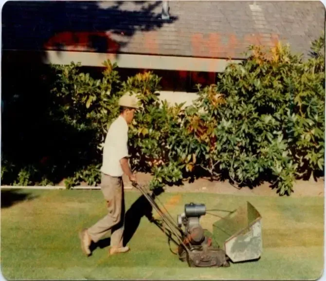 Uyeta Landscape & Maintenance History