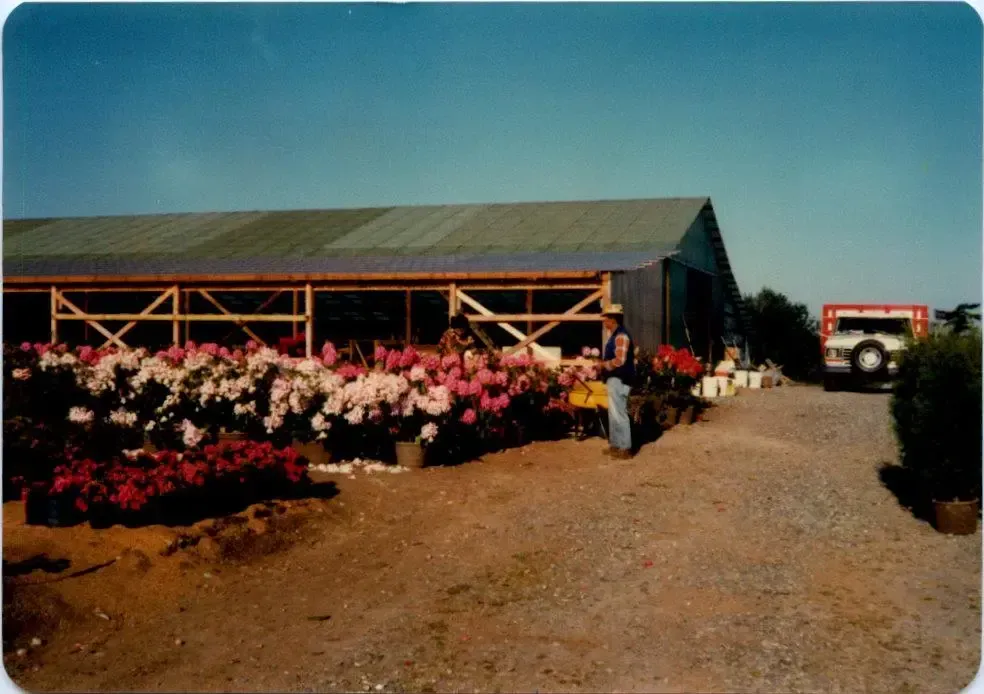 Uyeta Landscape & Maintenance History