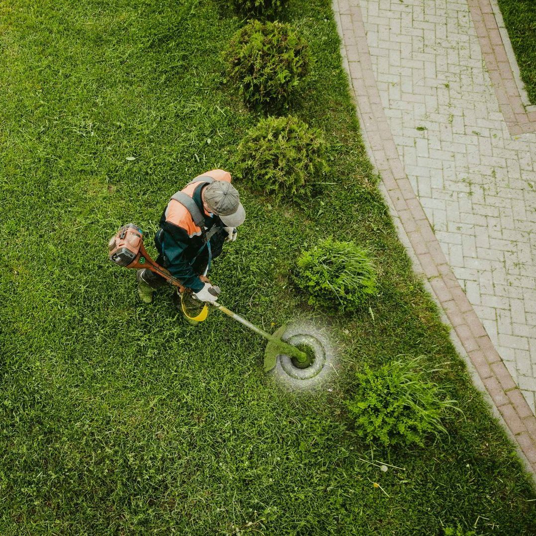 Garden Maintenance