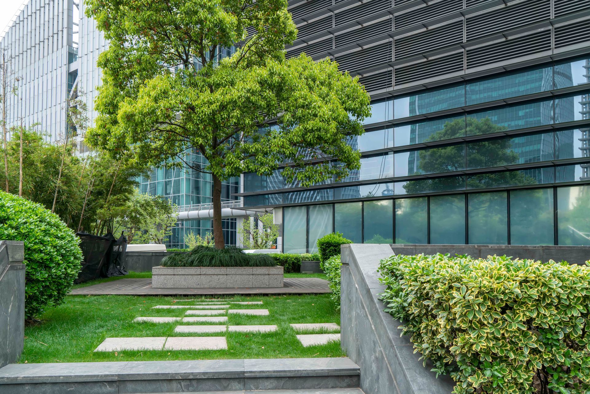 Modern office courtyard with green lawn, stepping stones, trees, and glass building facades