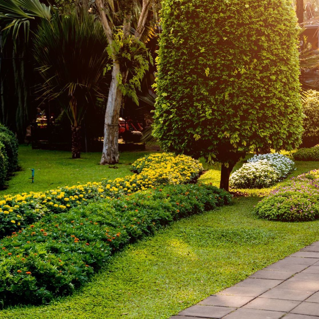 Lush garden with manicured hedges, a leafy tree, and a paved path beside green lawn