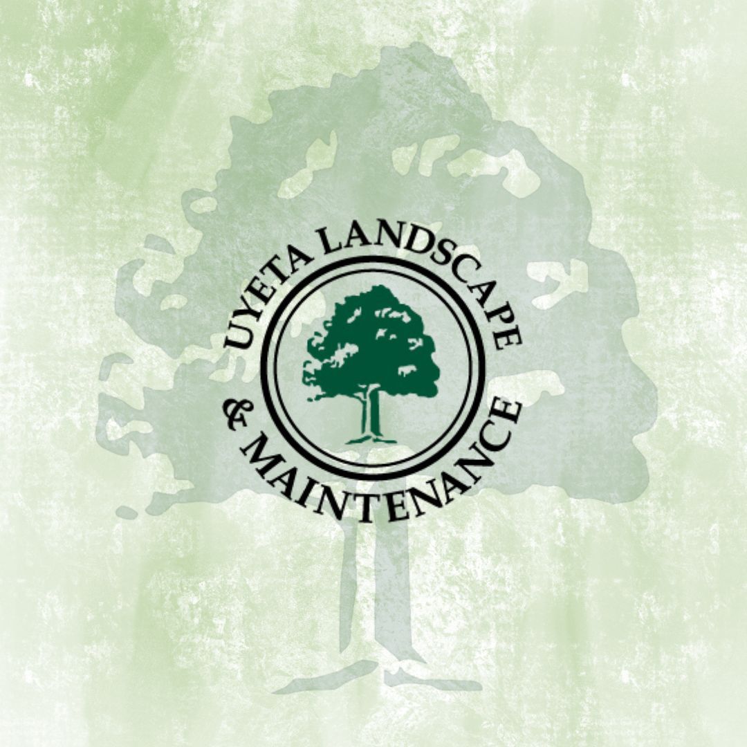 Uyeta Landscape & Maintenance logo with green tree on pale green background