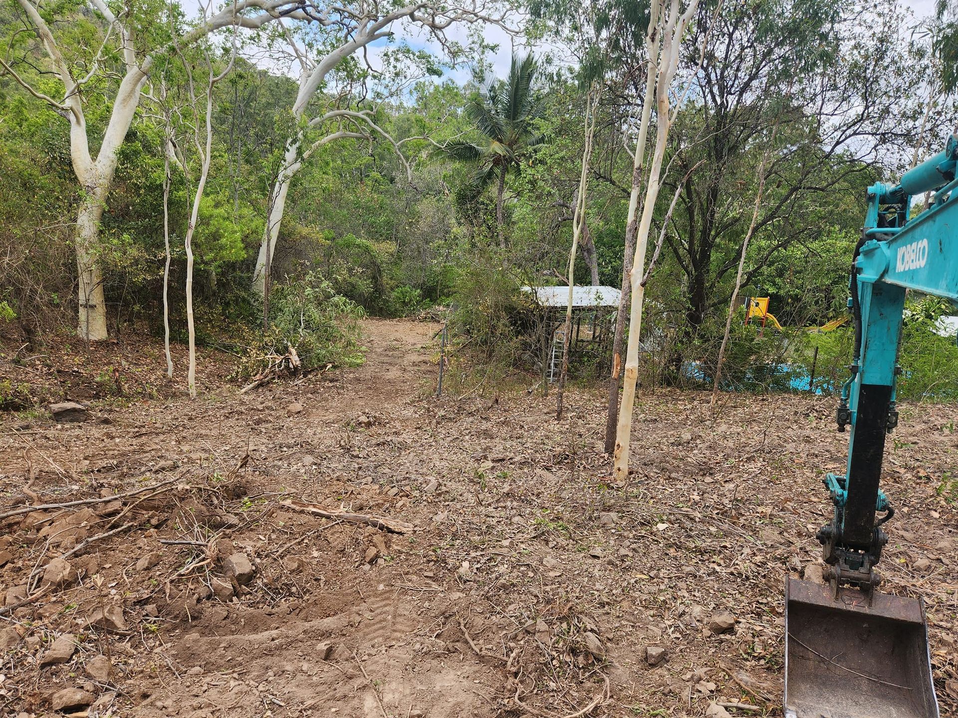 A Small Excavator Clearing Brush and Leaves in a Wooded Area — AGM HIRE NQ in Kelso, QLD