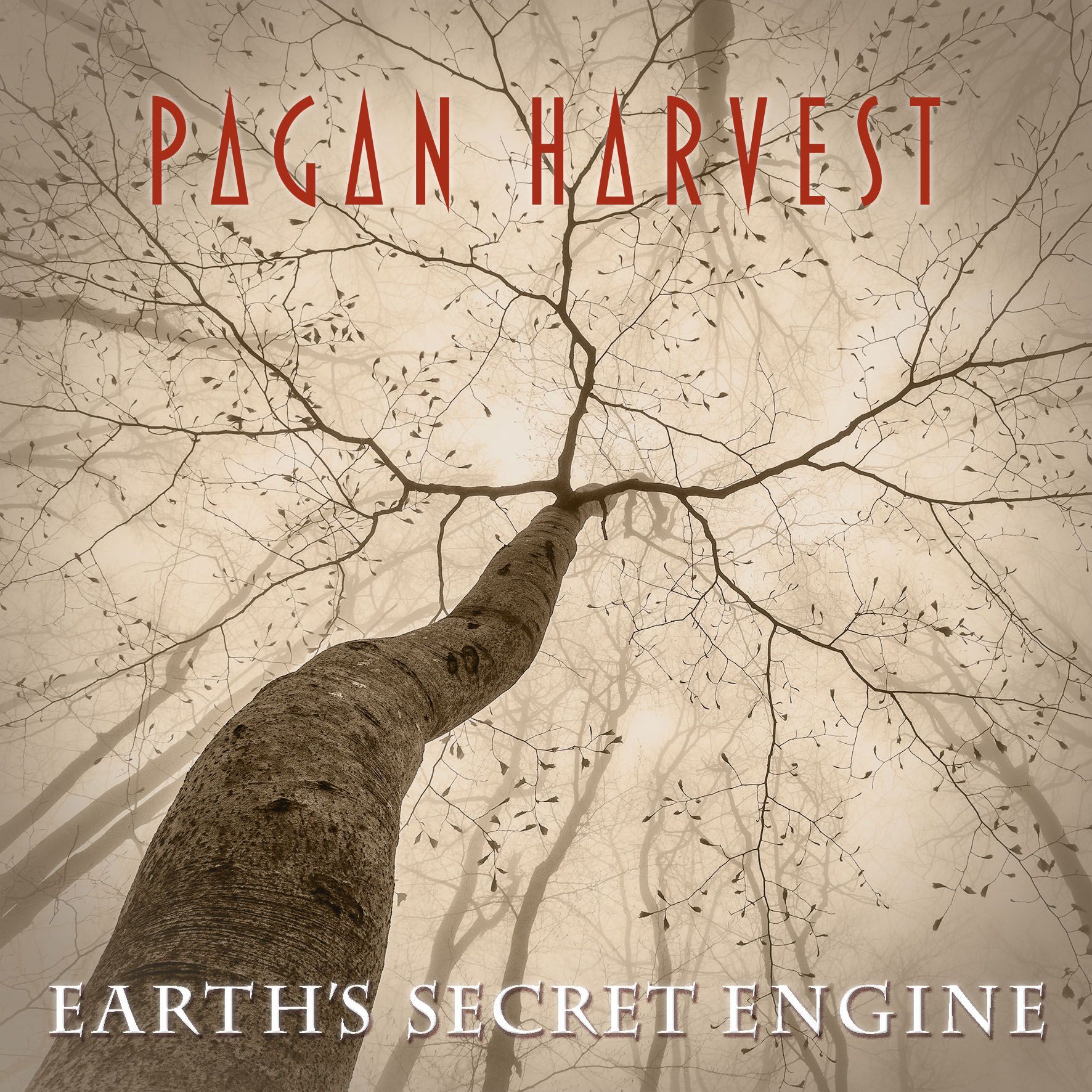 earth's secrete engine