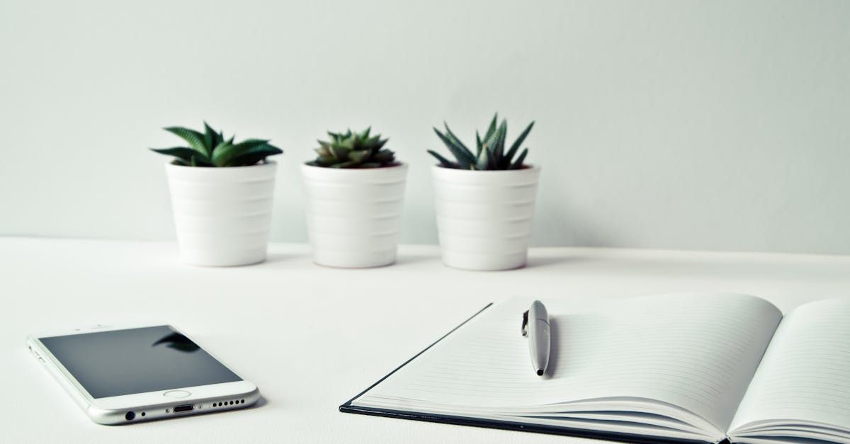 A notebook , pen , cell phone , and potted plants on a table.