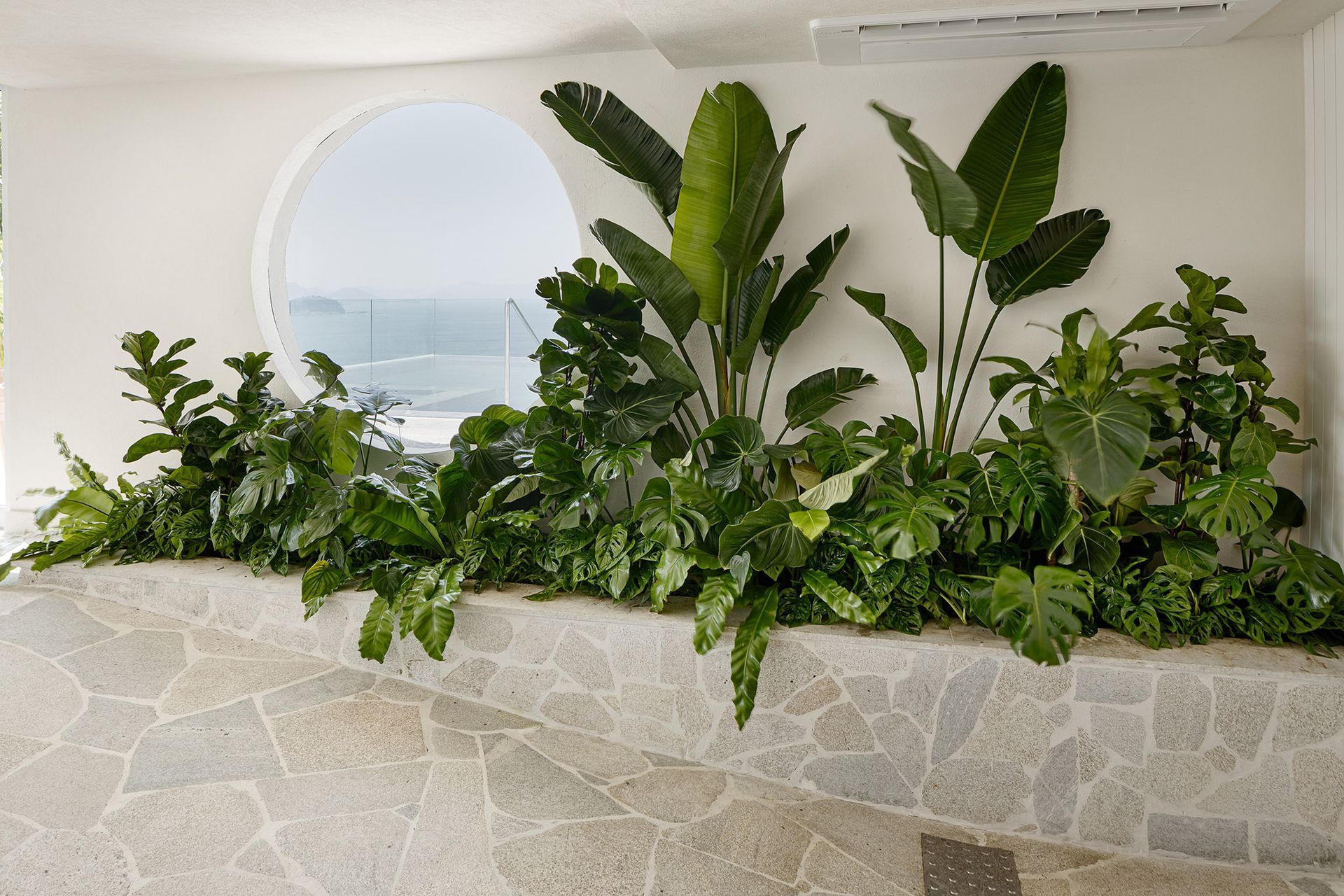 Um plantador com muitas plantas verdes em frente a uma janela