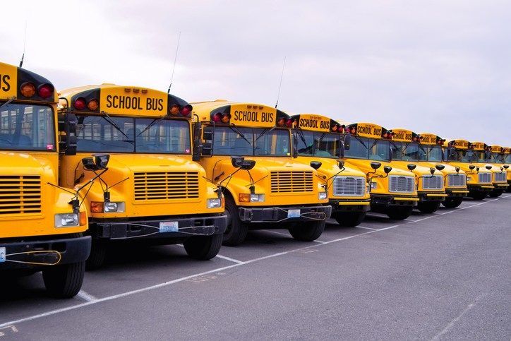 A Fleet of Standard Yellow School Buses Parked in a Lot, Ready for Field Trips in St. Cloud, MN