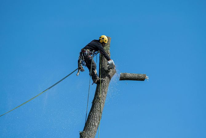 Worker on a utility pole against a clear blue sky, attached by a safety line