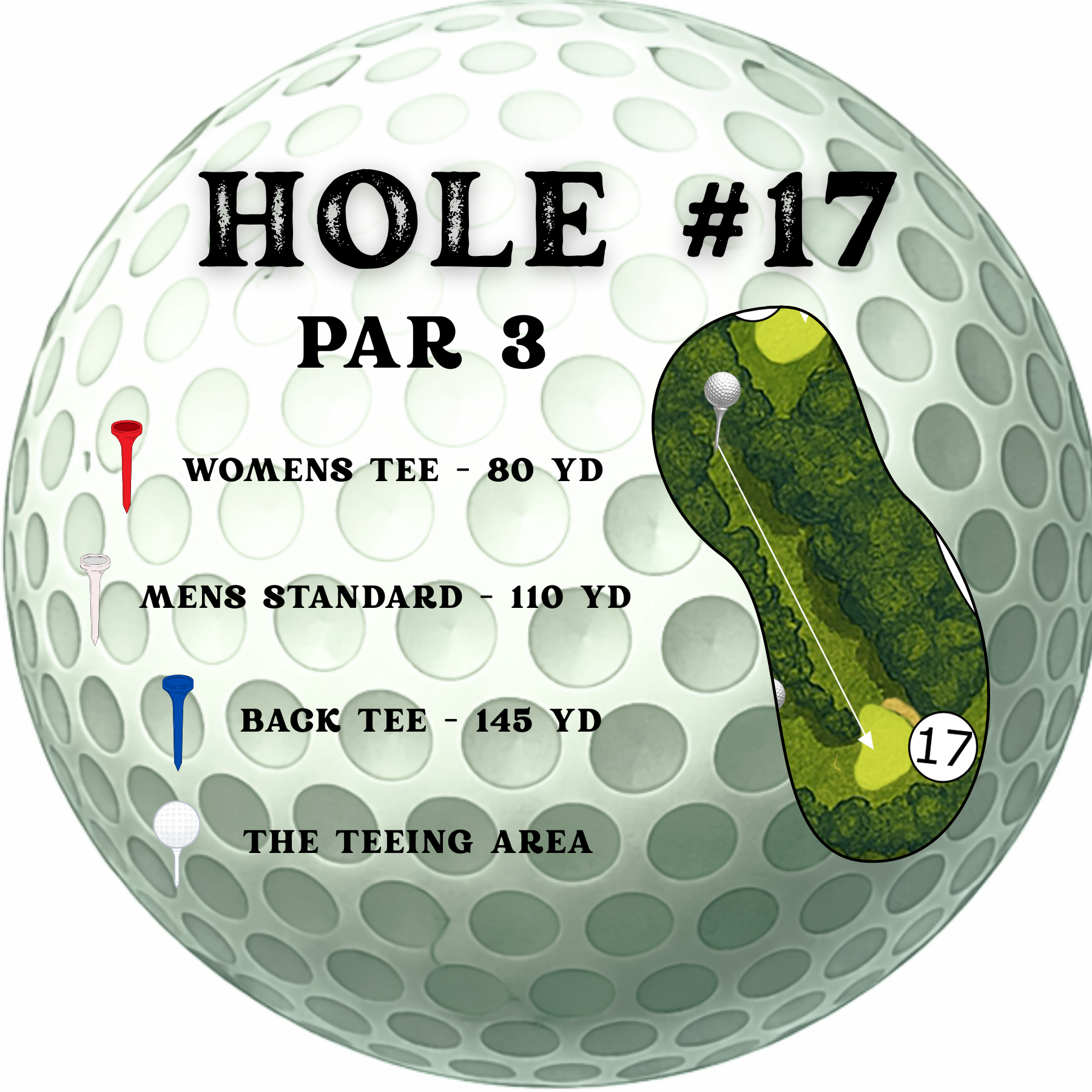 Golf ball graphic showing Hole 17, a par 3 with tee distances: Women's 80, Men's Standard 110, and Back Tee 145 yards.
