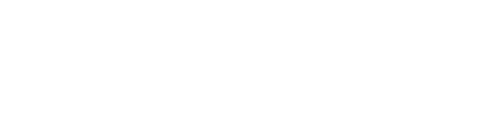 Company Logo - Footer