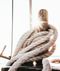 Coiled white rope around a wooden post, with sunlight shining through in a nautical setting