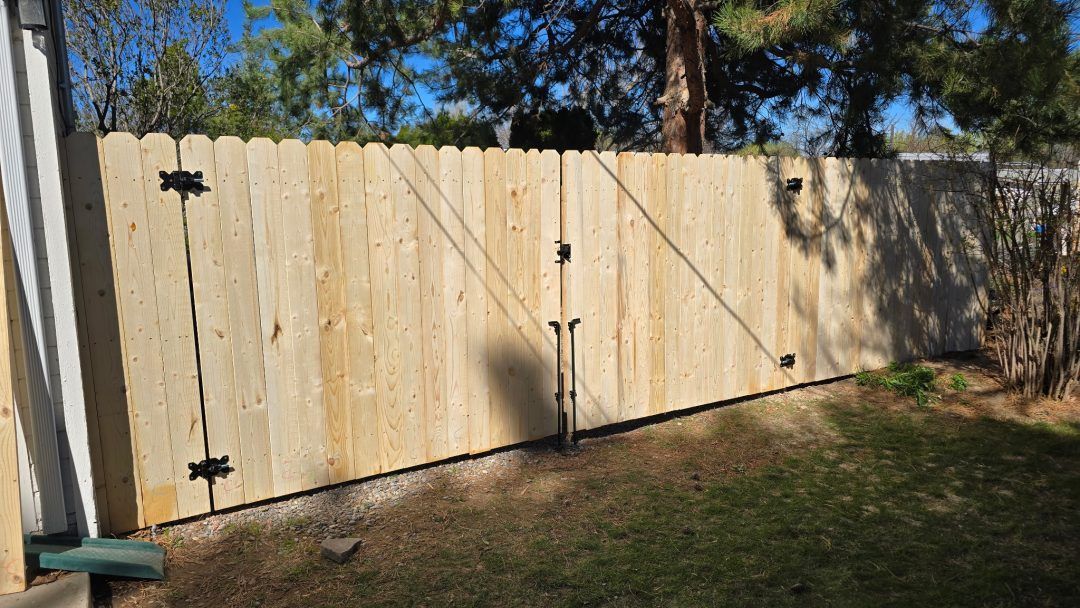 Light wooden double fence gate in a backyard, with black hinges and latch under trees.