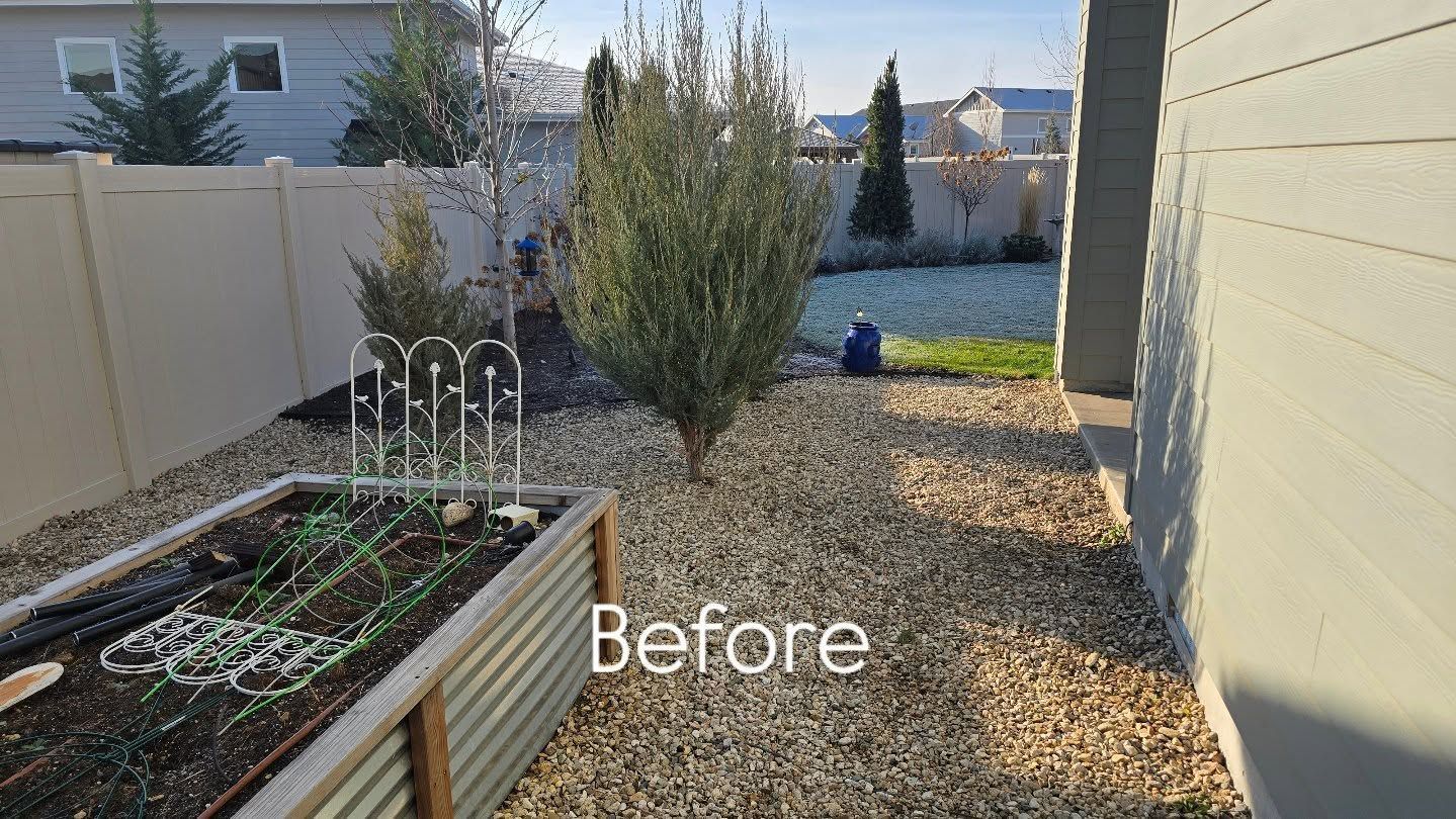Backyard gravel path with raised planter bed and shrubs, labeled “Before”