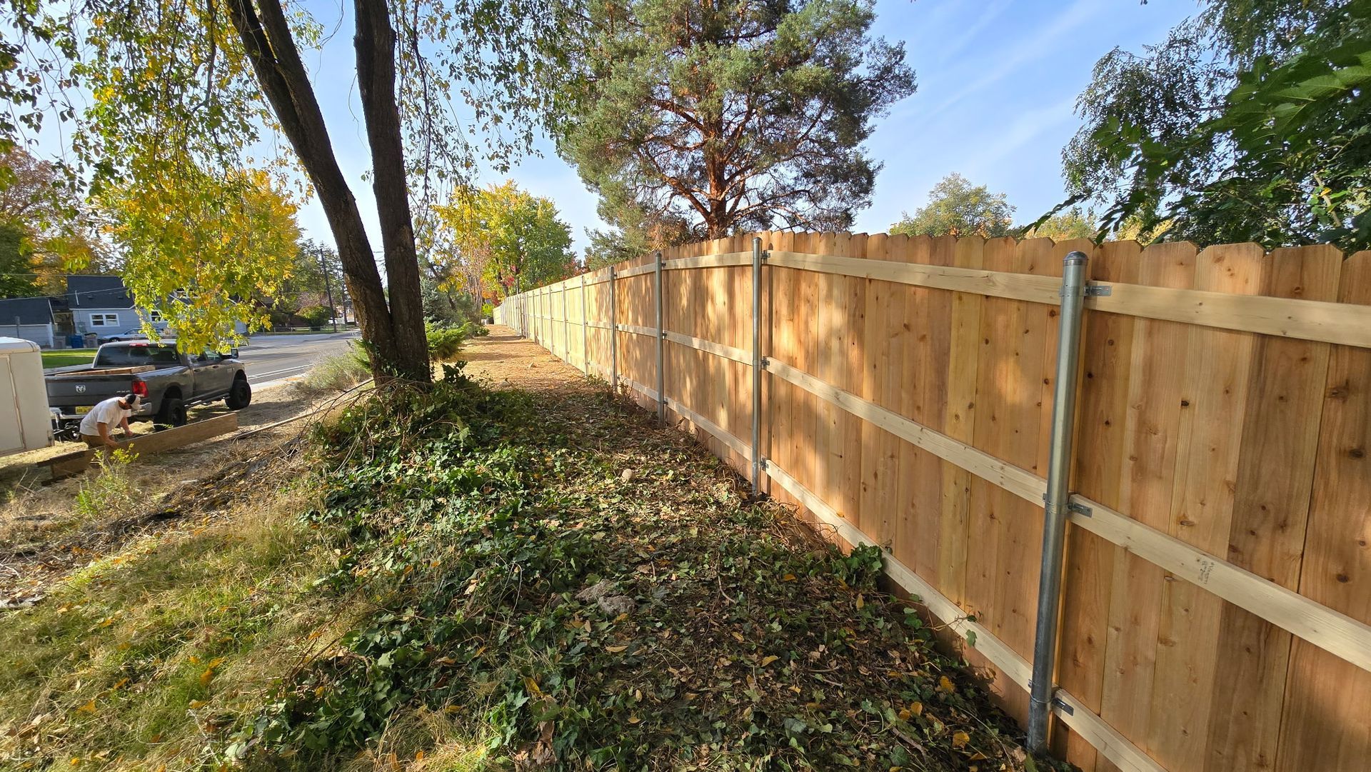 Wooden fence beside a leafy roadside path with trees and parked cars in fall sunlight