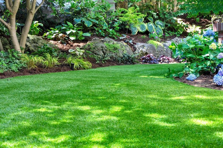 A green lawn in Shelby Twp backyard.