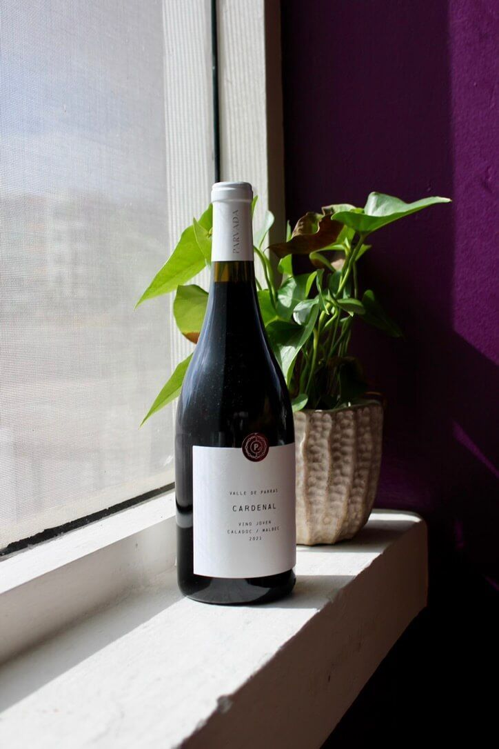 A bottle of wine is sitting on a window sill next to a potted plant.