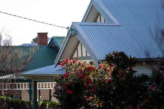 A house with a metal roof is surrounded by flowers