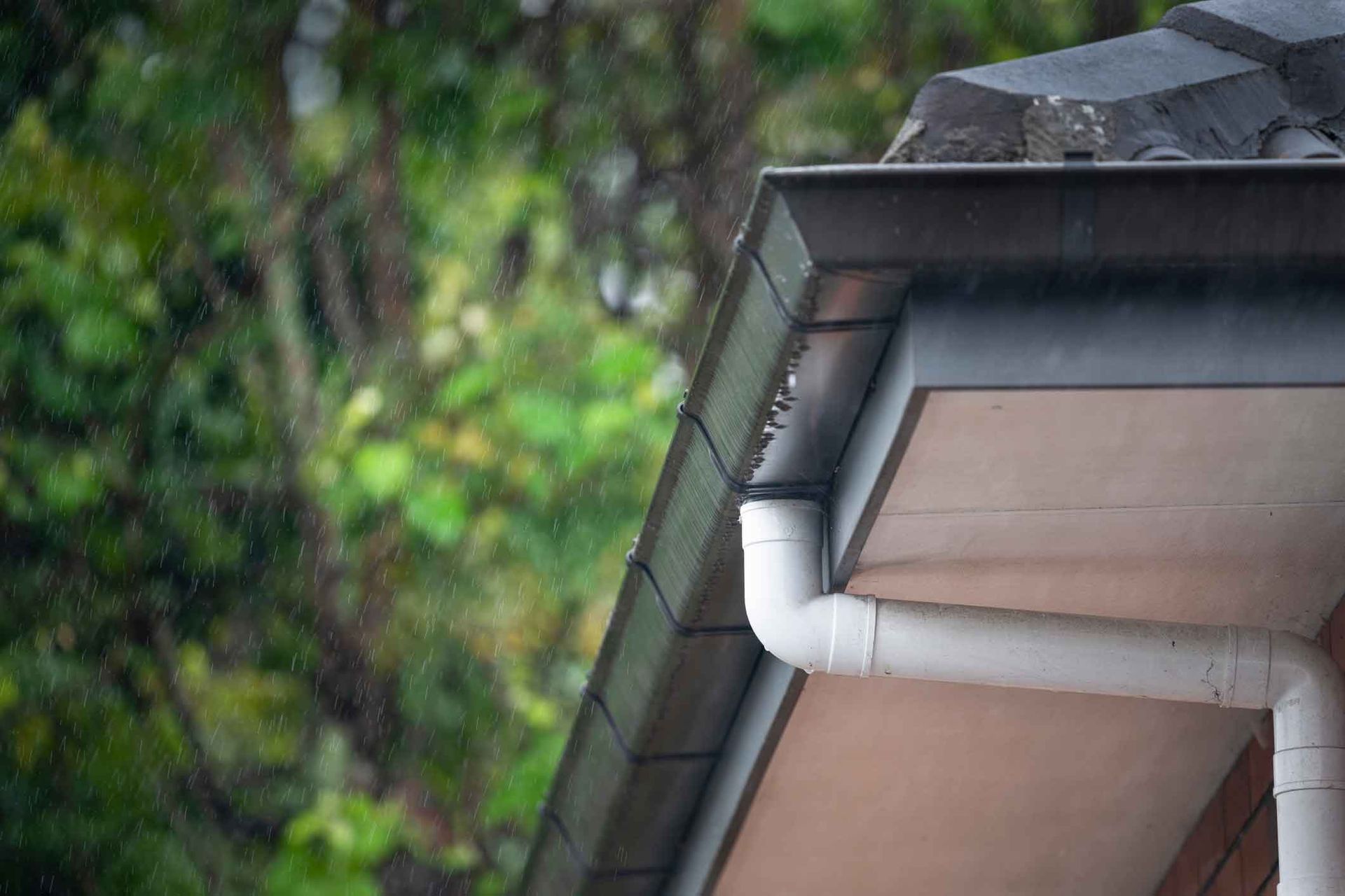 A close up of a gutter on the side of a house with trees in the background. A close up of a gutter on the side of a house with trees in the background.
