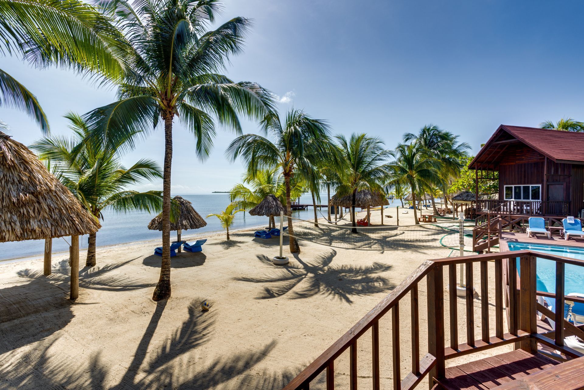 A tropical beach with palm trees and a swimming pool