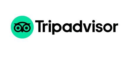 The tripadvisor logo is a green circle with an owl on it.