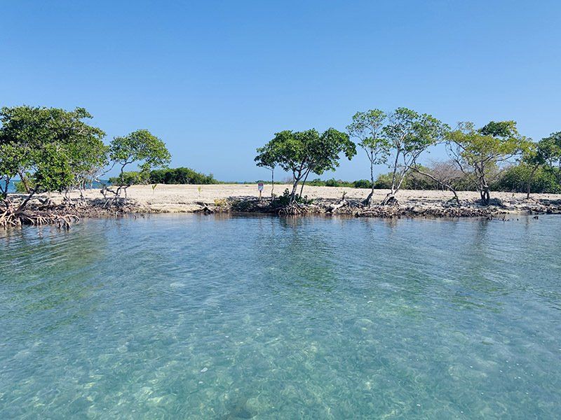 A small island in the middle of a body of water surrounded by trees.