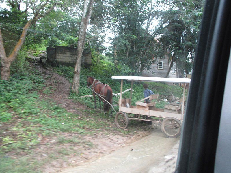 A horse pulling a cart down a dirt road