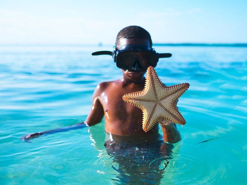 A young boy is holding a starfish in the ocean